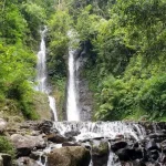 Curug Terbaik di Bogor dengan Suasana Sejuk dan Air Jernih yang Memanjakan Mata