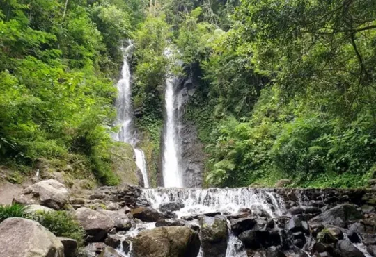 Curug Terbaik di Bogor dengan Suasana Sejuk dan Air Jernih yang Memanjakan Mata