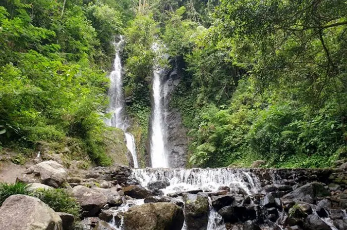 Curug Terbaik di Bogor dengan Suasana Sejuk dan Air Jernih yang Memanjakan Mata